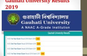 Gauhati University result 2018-2019