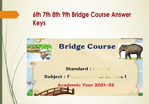 bridge journey answer key