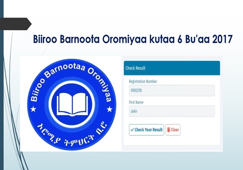 out-biiroo-barnoota-oromiyaa-kutaa-6-bu-aa-2017-qabxii-ministirii